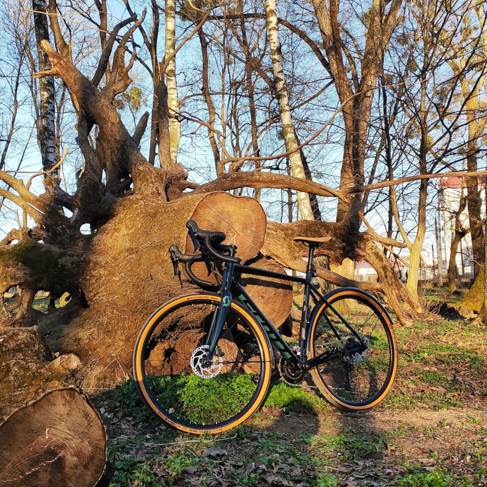 SCOTT Speedster gravel 30 2