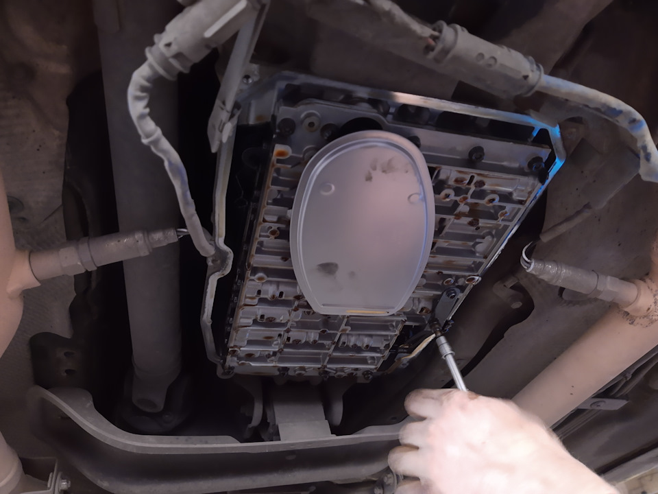 Олія в коробці 1