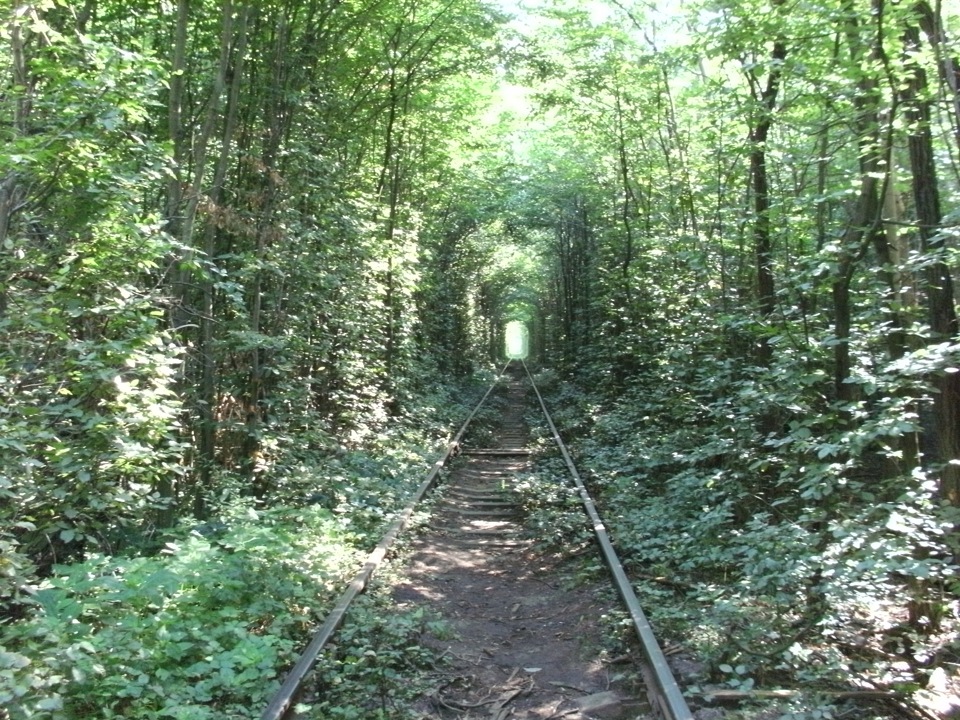 Зелений тунель. 3
