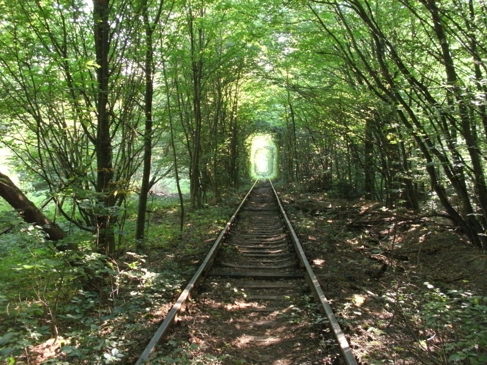 Зелений тунель. 1