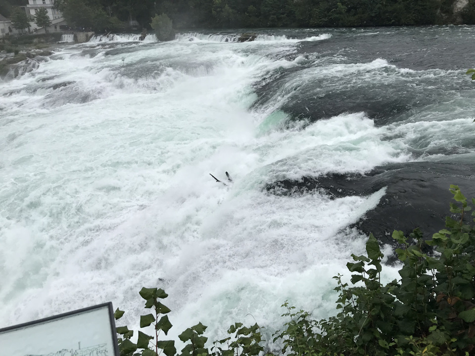 Road to Hattingen 2019. Day 4. Rheinfall. 4