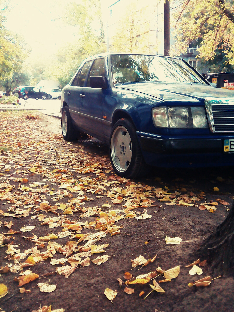 Осень на 17 AMG 2