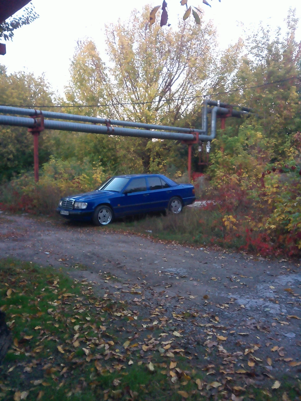 Осень на 17 AMG
