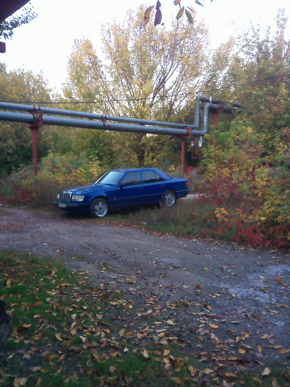 Осень на 17 AMG 1