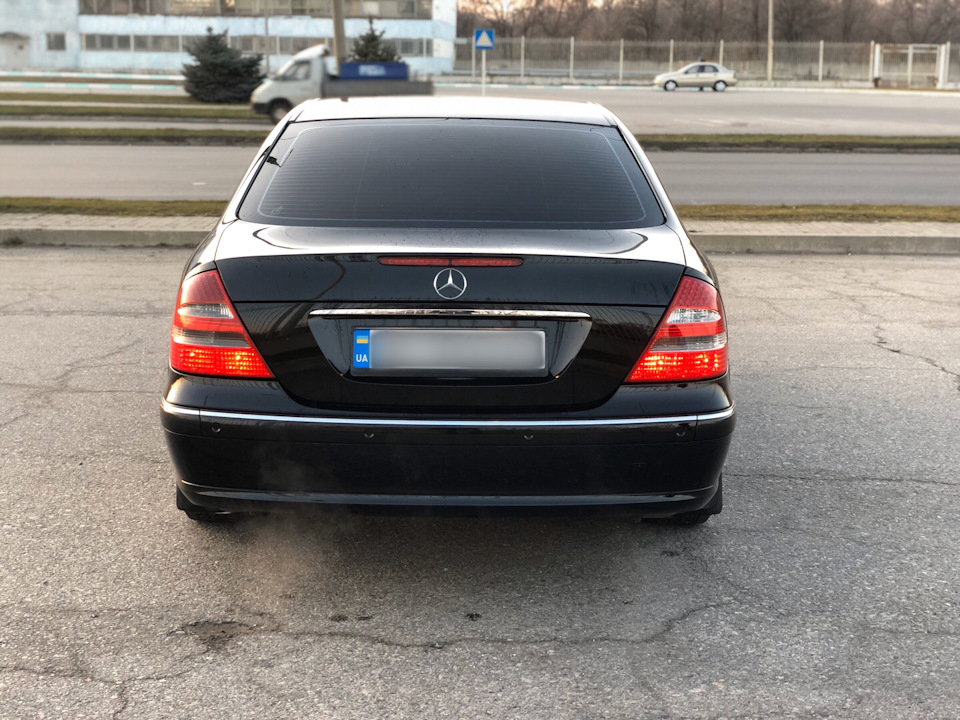 Трохи перших фото 5
