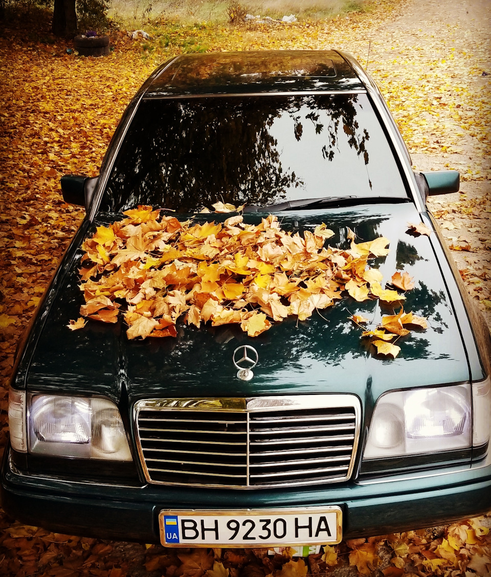 Осінній фотосет 1