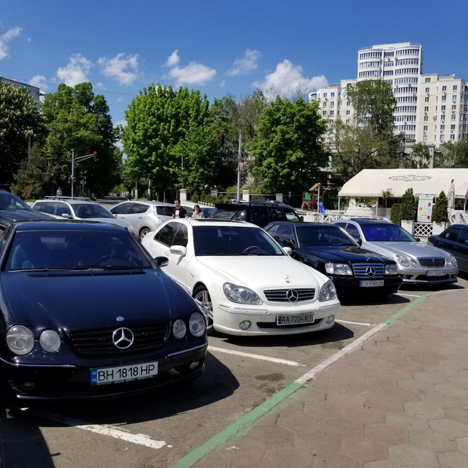 Зліт побратимів мерсововод! 5