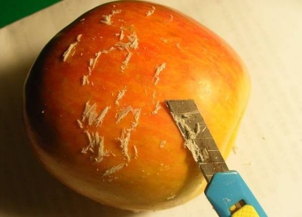 Підготовка до зими ЛКП, хто яким воском користується? 1