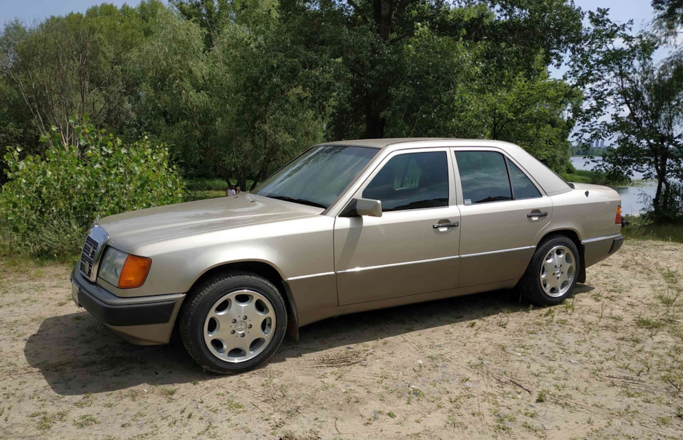 Ромашки R16 2