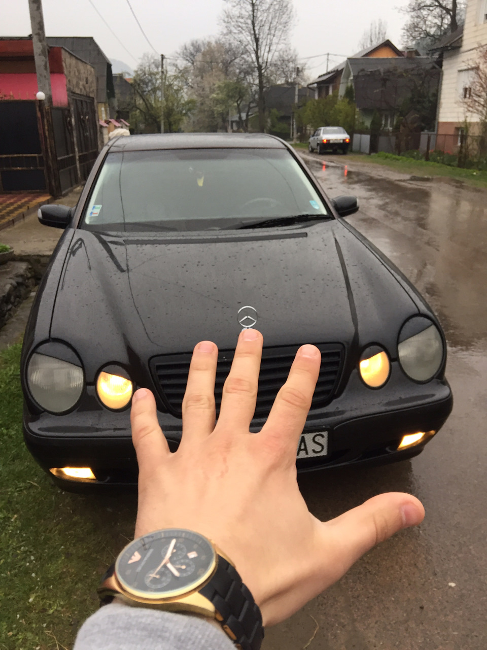 Кобила продана! 2