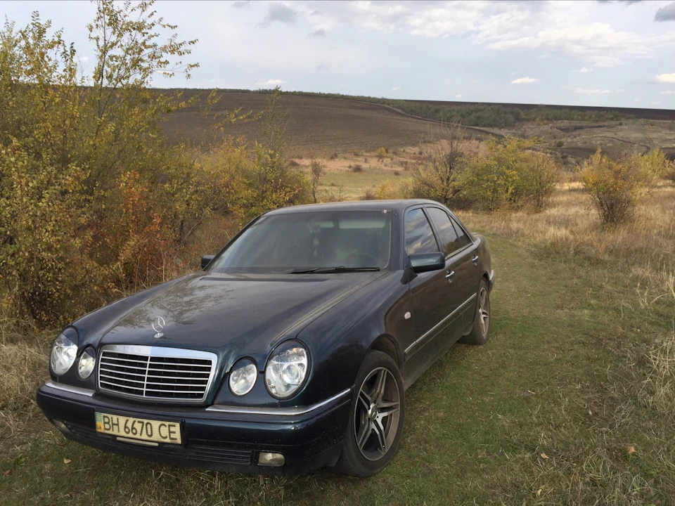 Пара фото на природі, поїздка по гриби