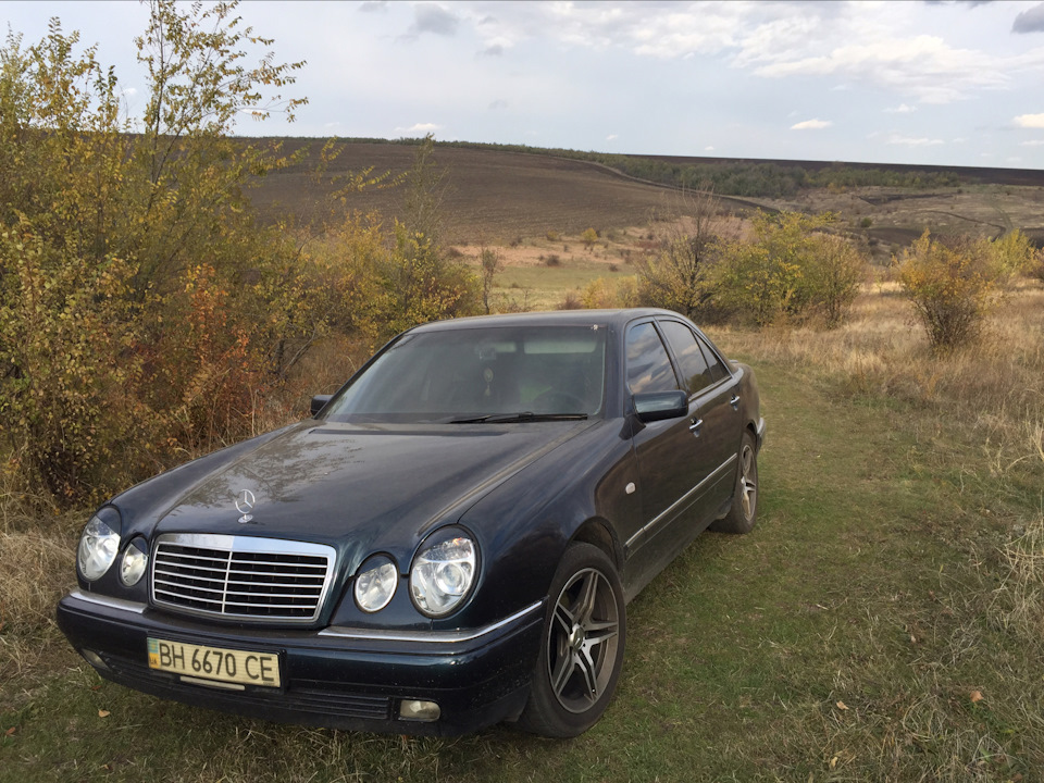 Пара фото на природі, поїздка по гриби 1