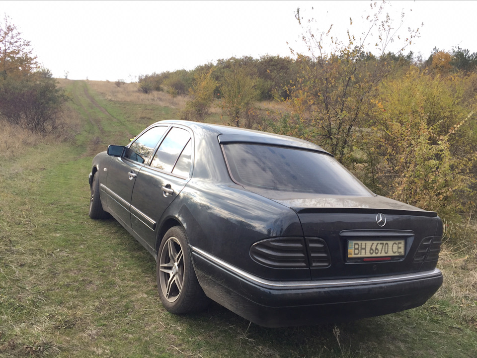 Пара фото на природі, поїздка по гриби 2