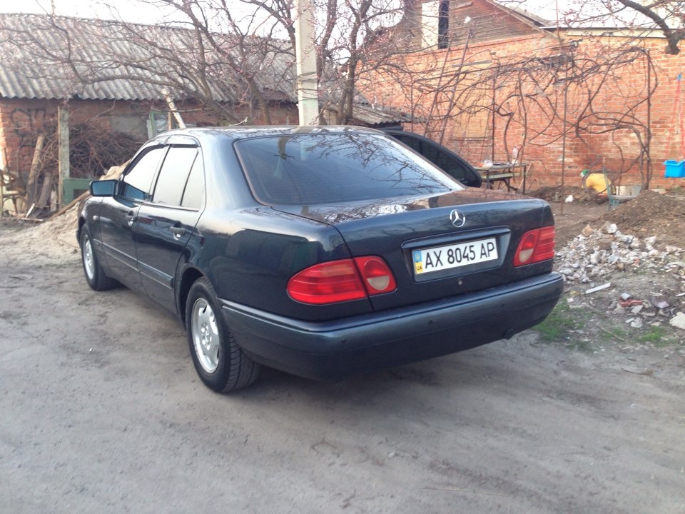 Змінив мурзика 1