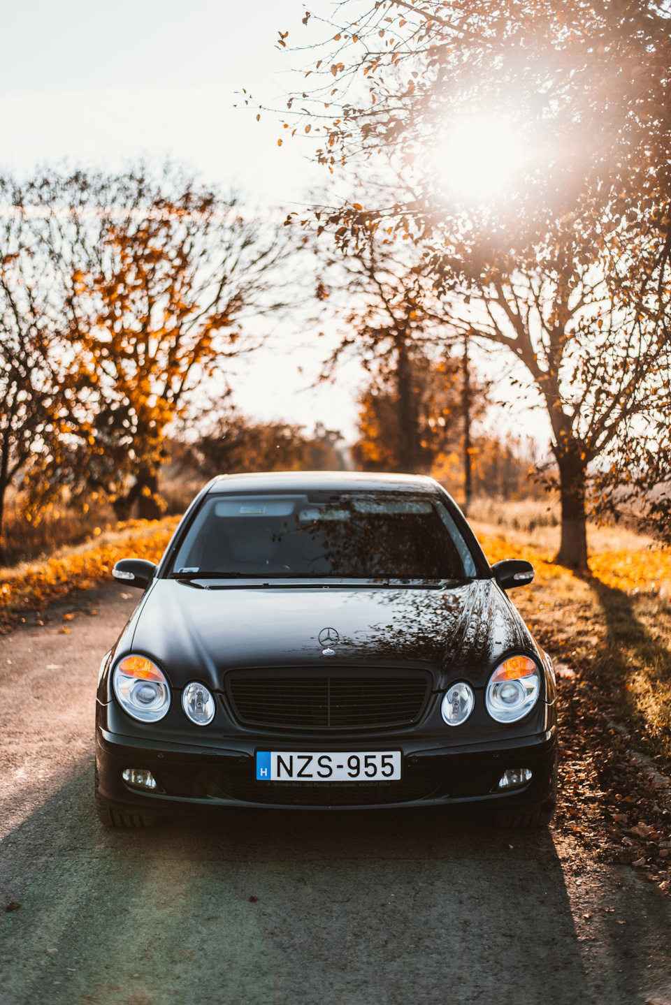 Фотосесія осіняючи 4
