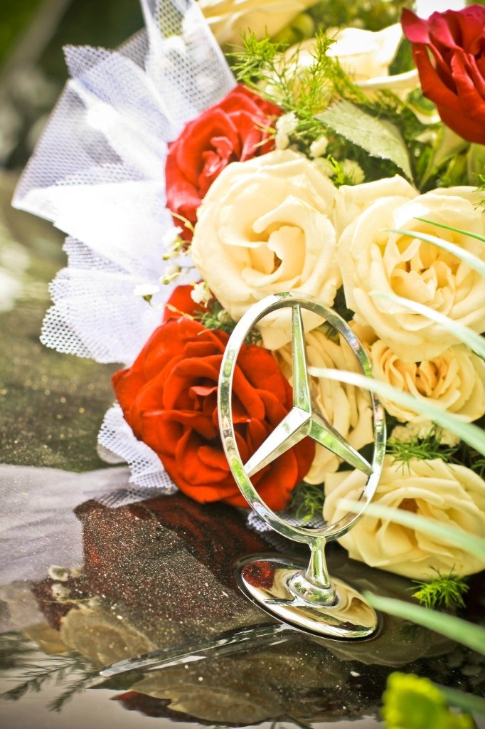 Гарні вихідні... 3