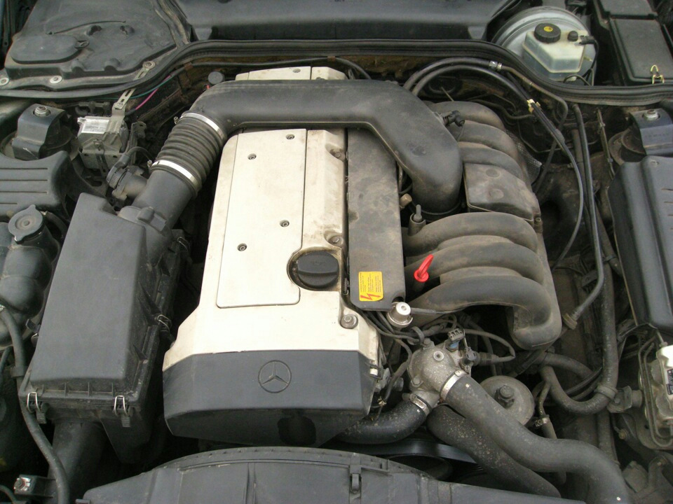 Пінки 1