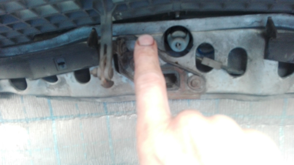1248890598 Mercedes ущільнення капота 1