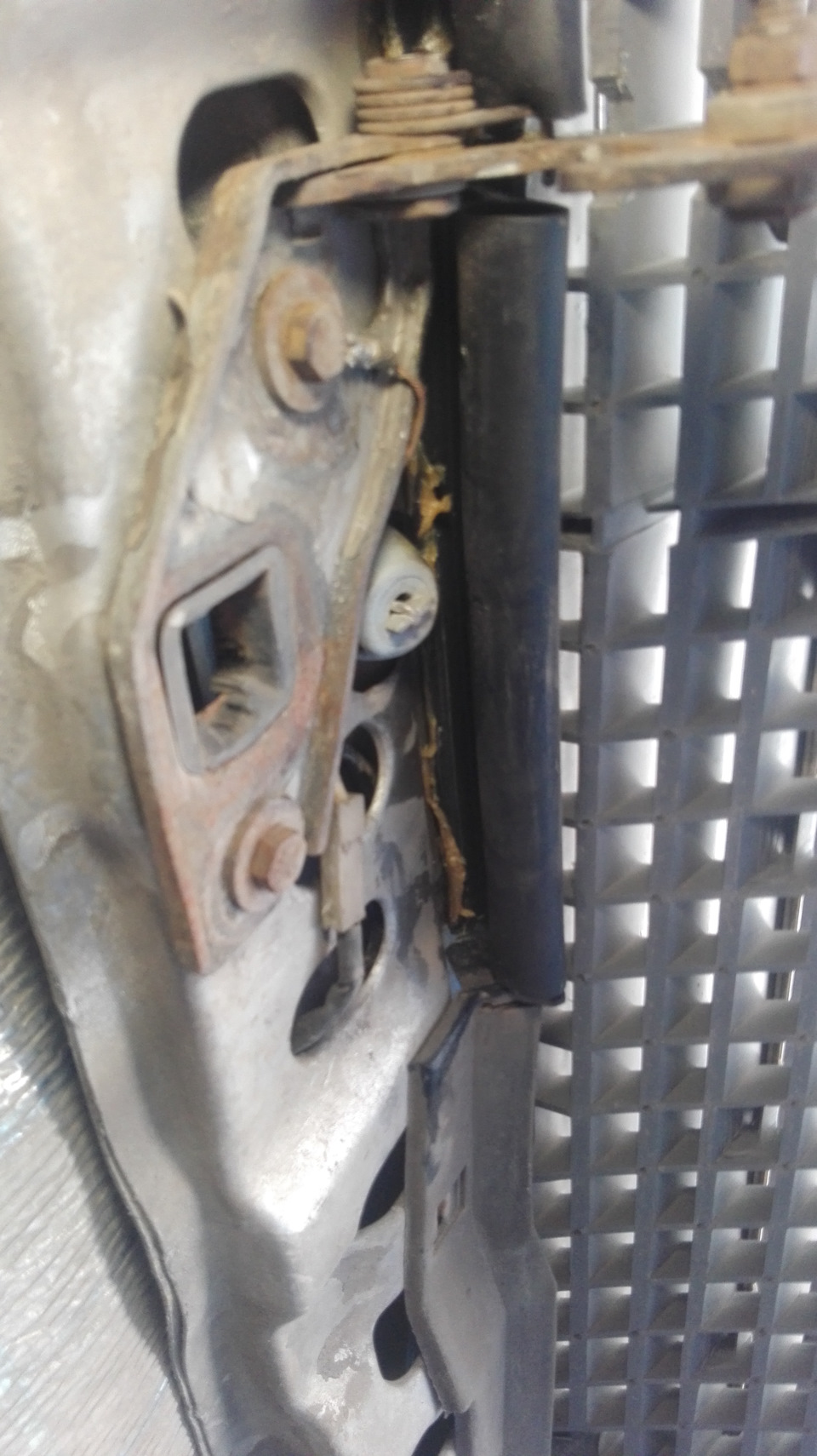1248890598 Mercedes ущільнення капота 3