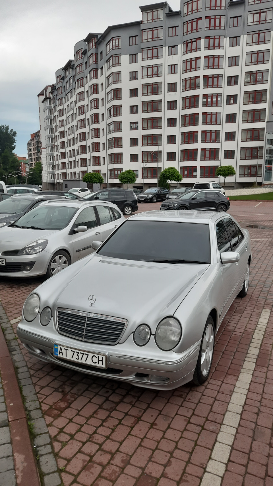 Олія, фільтра 3