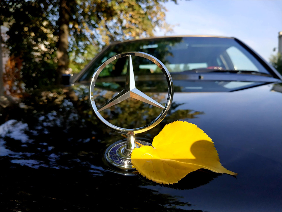 Рік володіння / 500 000 км пробігу / програма High Mileage Award та old car land 2019 1