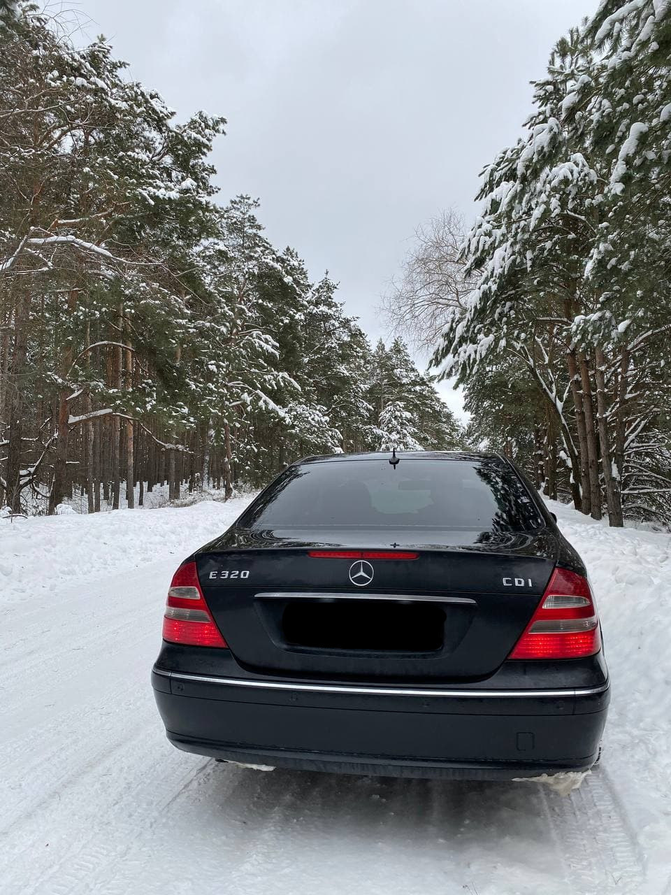 Покупка W211 2005 3.0 CDI AVANTGARDE 3
