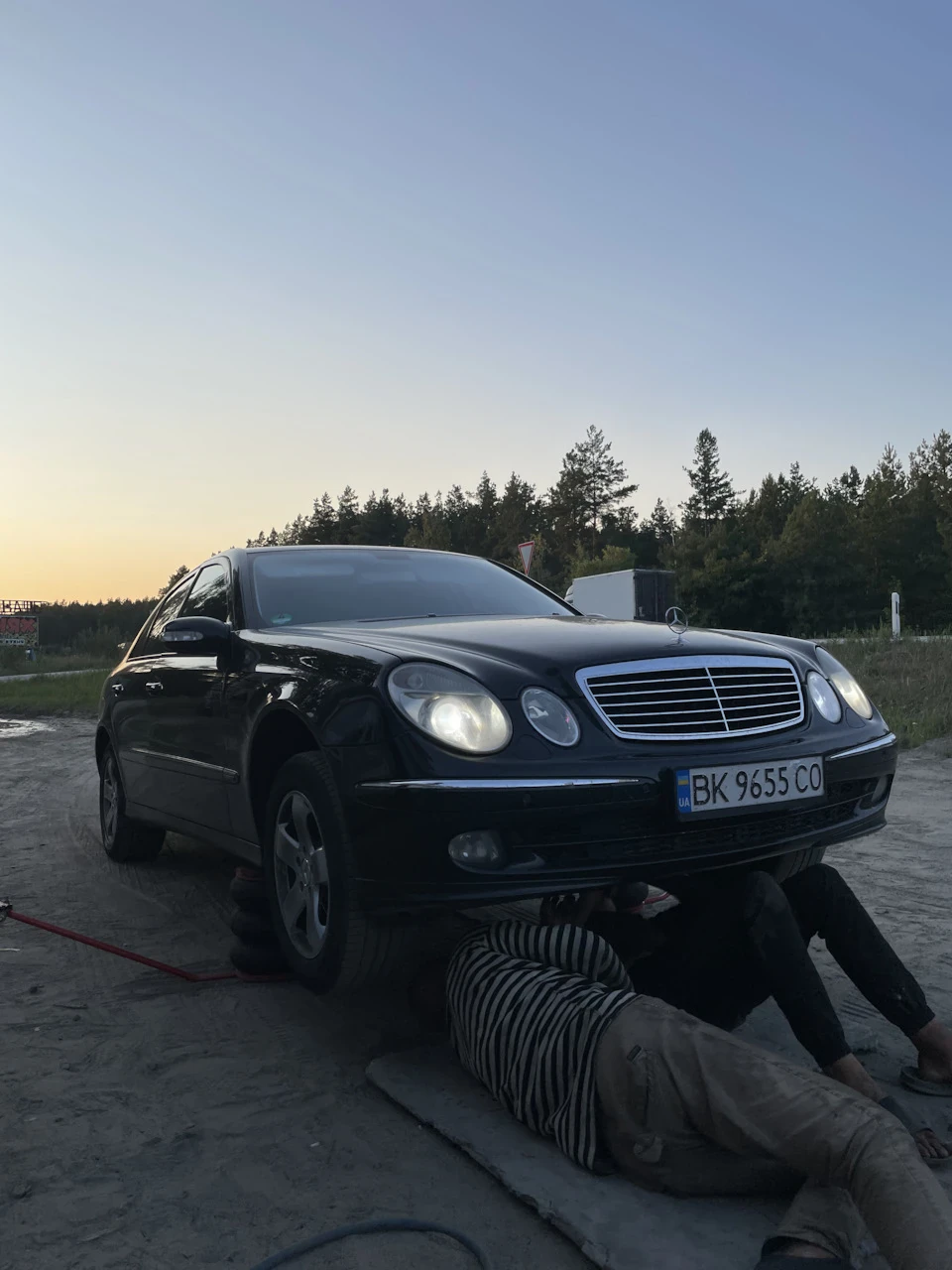Цвіркун знайдений)