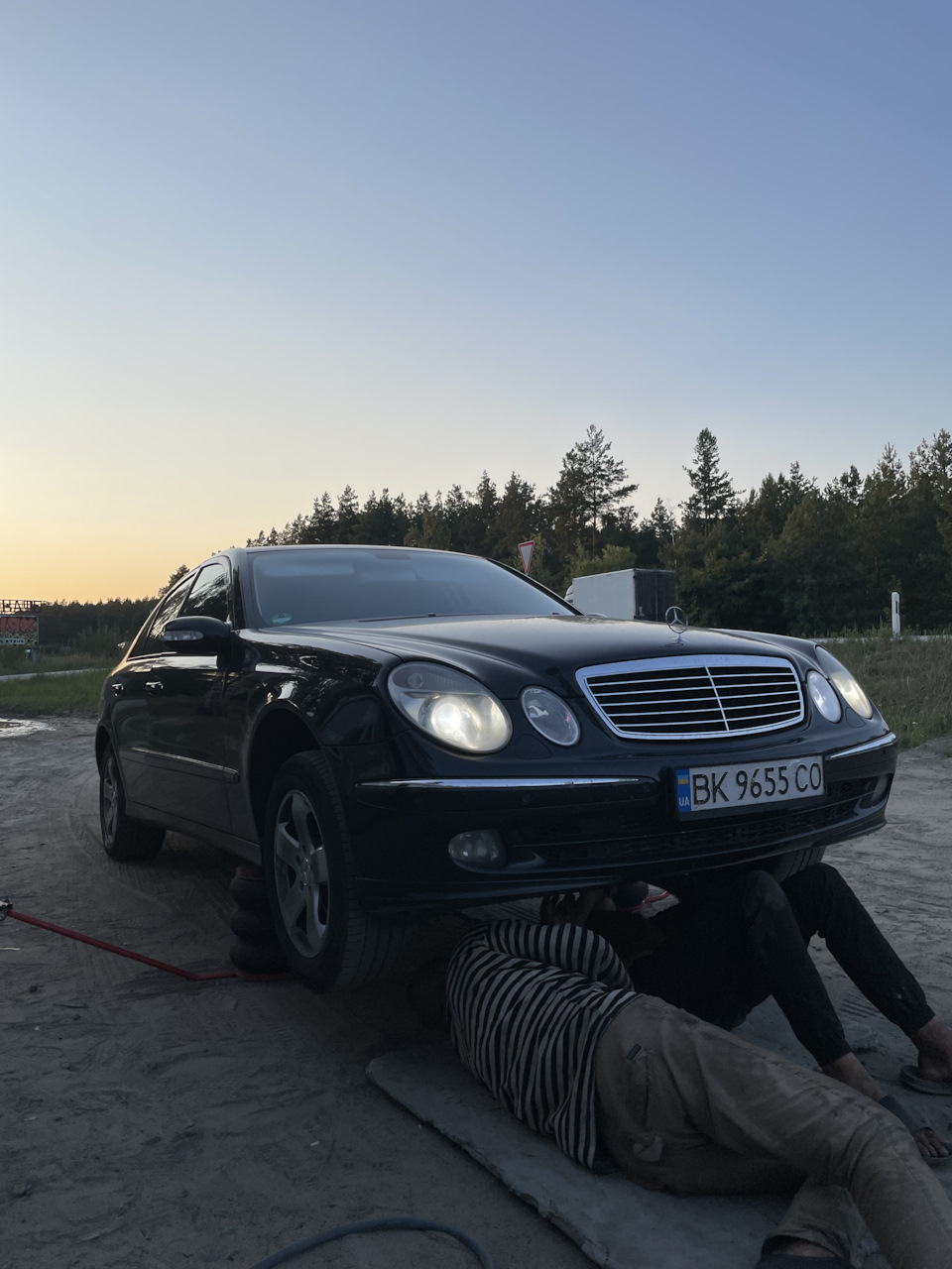 Цвіркун знайдений) 1
