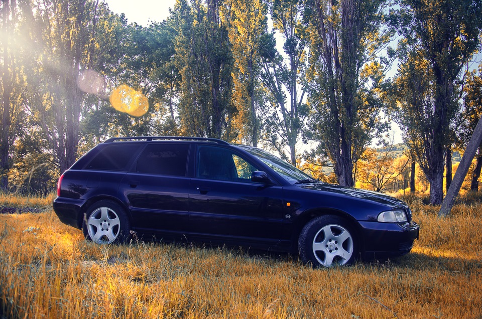 Audi a4 друга☺ 5