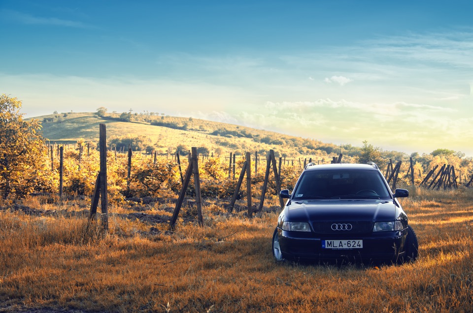 Audi a4 друга☺ 2