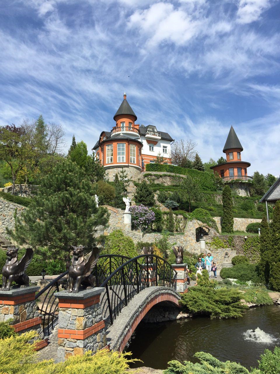 Київ - Ландшафтний парк, Буки 4