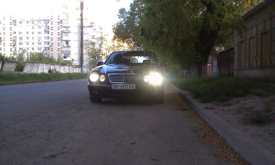 Вчора помило, сьогодні фото. 2