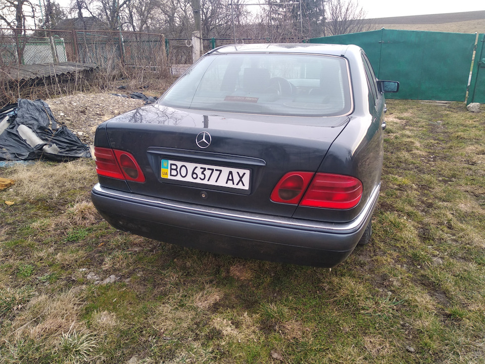 Приціл на капот і задня емблема) 2