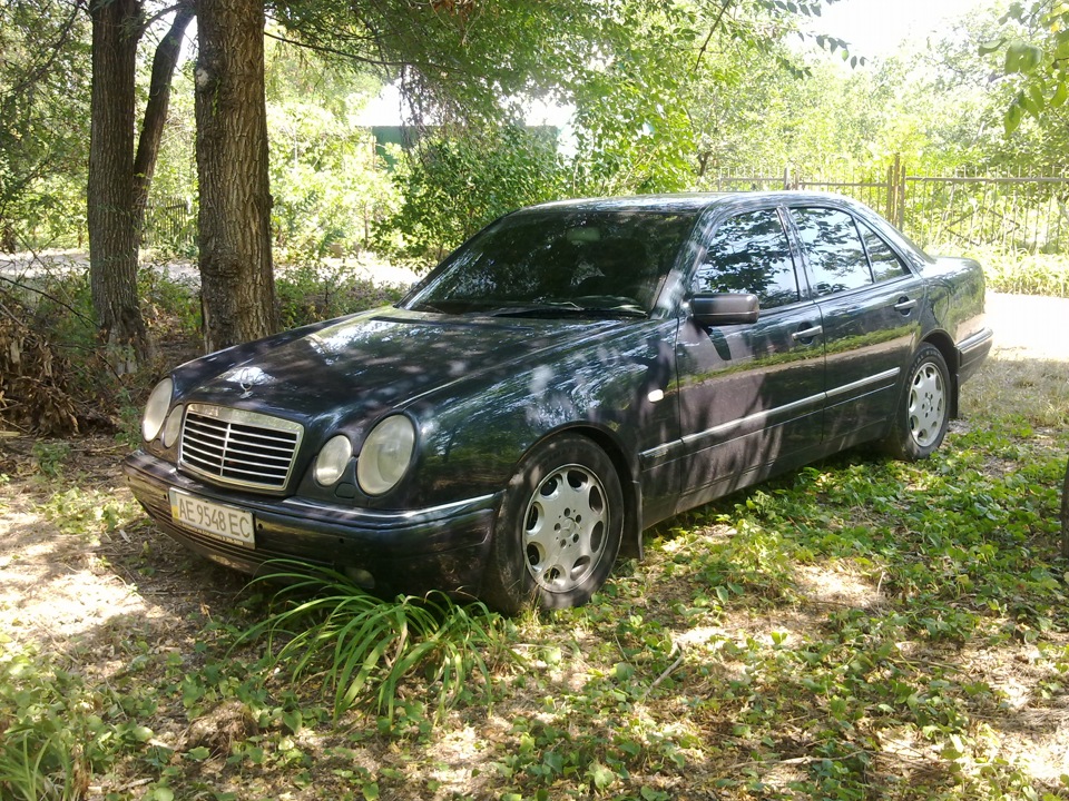 Дачниця 4