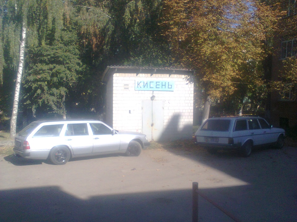 Ранковий нежданчик! і приємне відкриття)) 4
