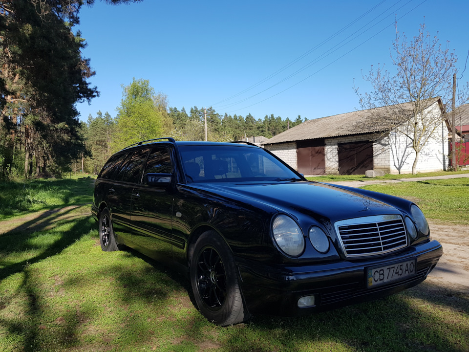 Відмив і покрив черепашкою, опитування по дисках. 3