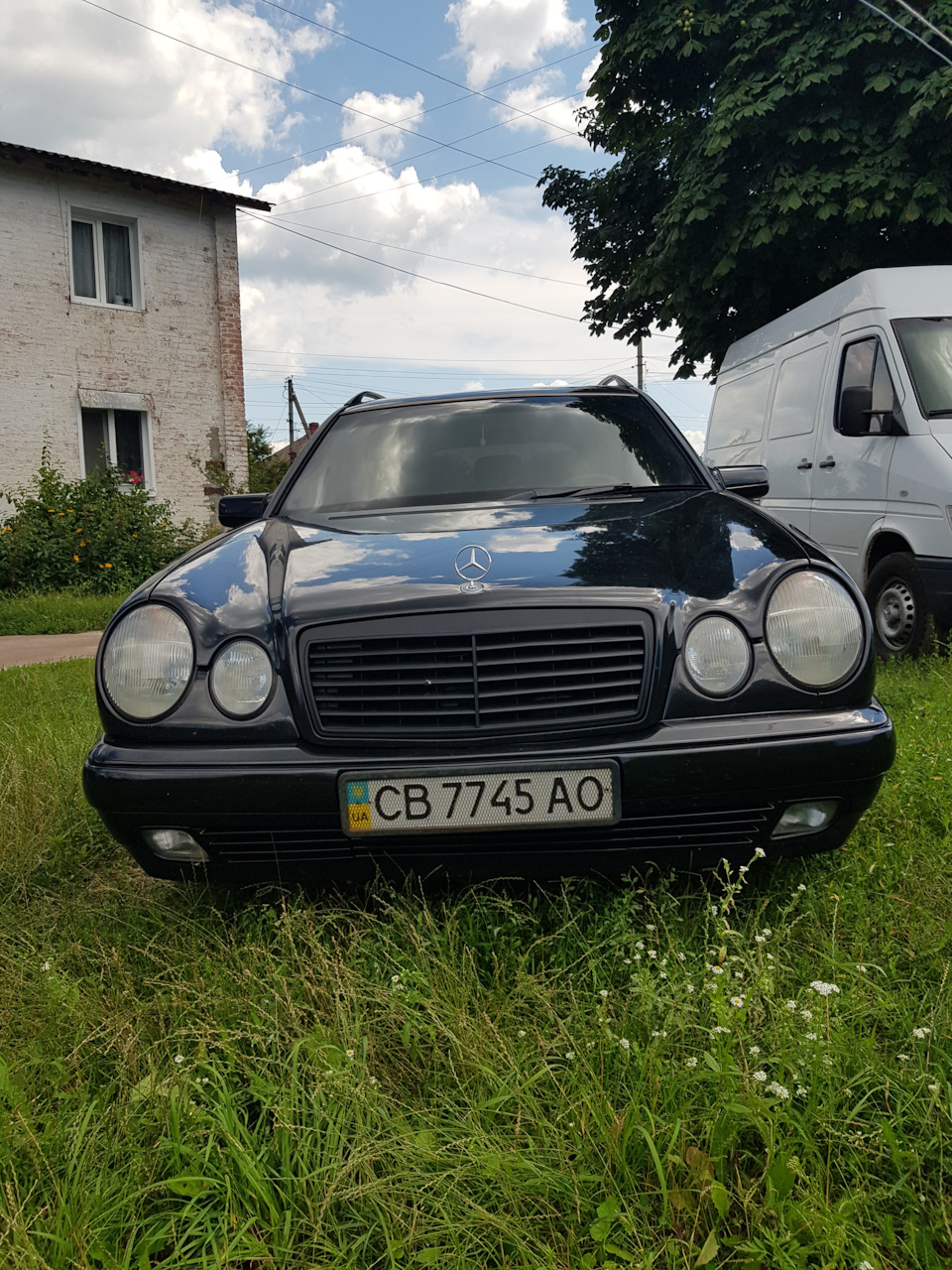 Тонування 1