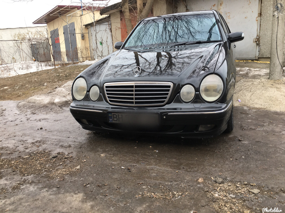 Просто фото 1