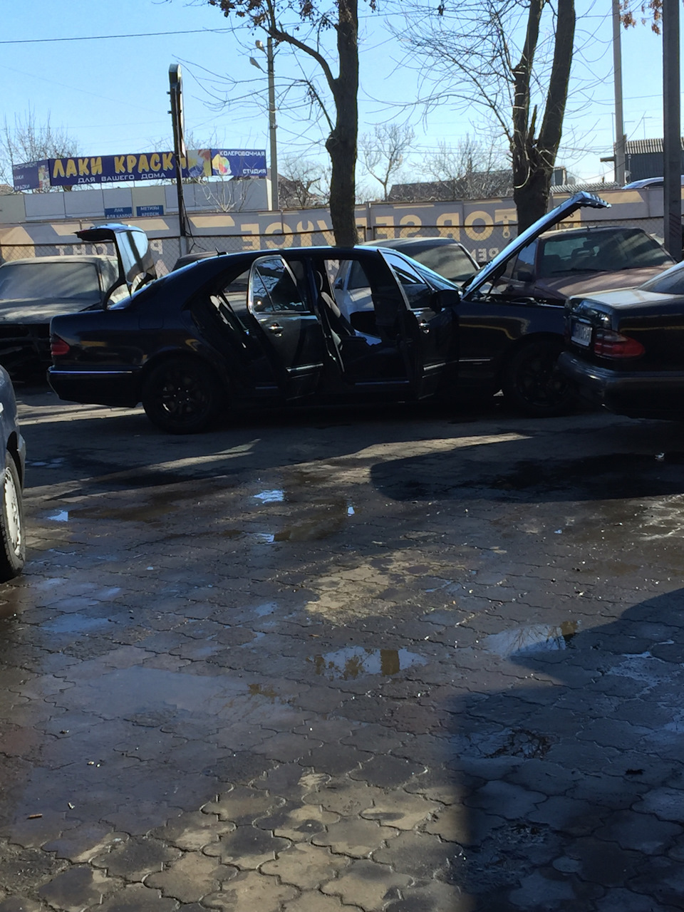 З 8 Березня Дівчата! 1
