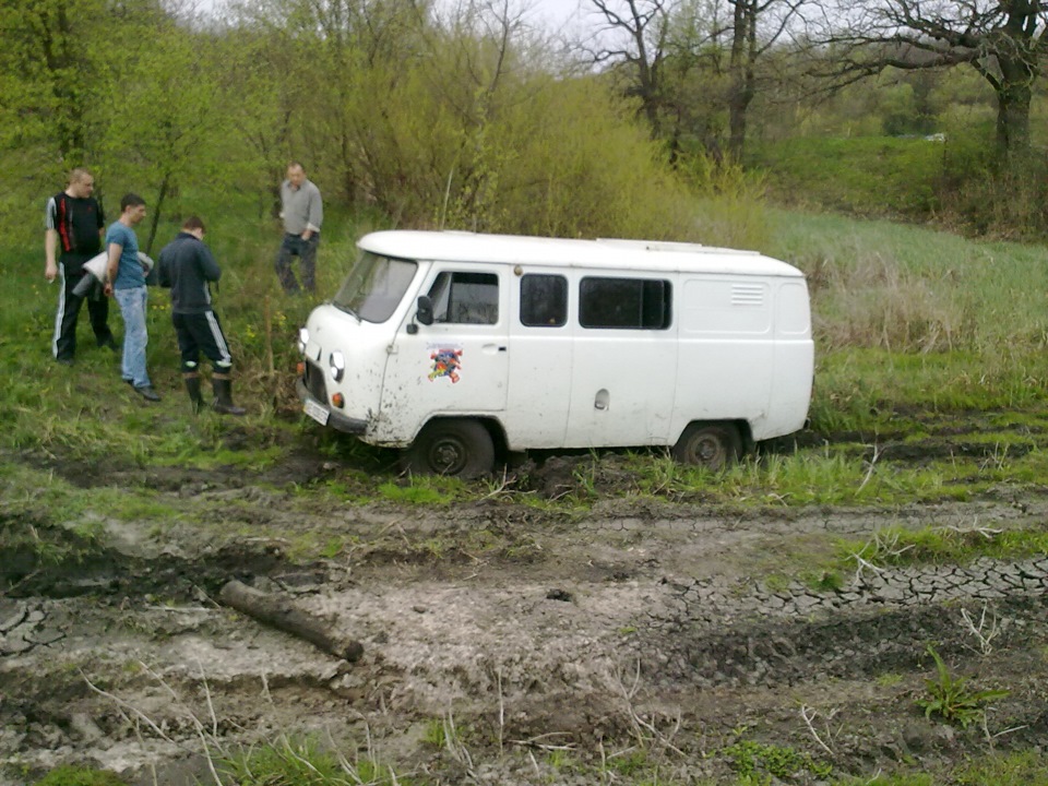 Самарські нетрі 3