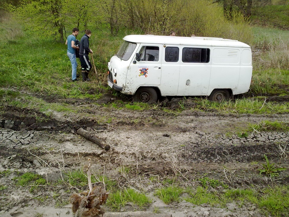 Самарські нетрі 2
