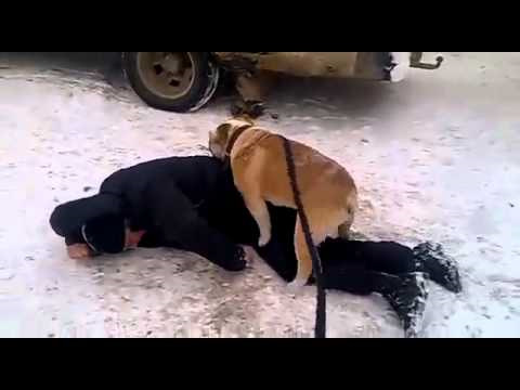 Біда не приходить одна. Нова Пошта пр___була один диск. 1