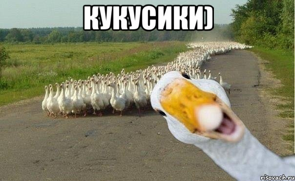 Нові ковзанки) 3