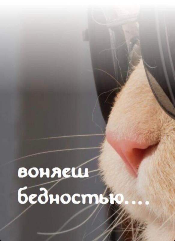 Попандос з накладками на пороги 4