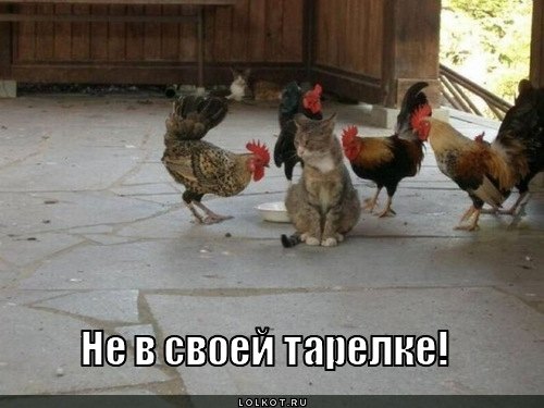 Попандос з накладками на пороги 3