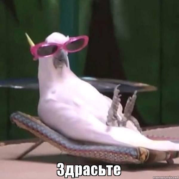 Руль від 220го і дерево в колір 1