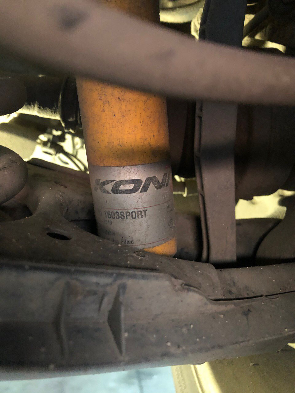 Любовь к коням… Koni Sport 2