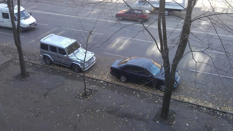 Вірний друг.