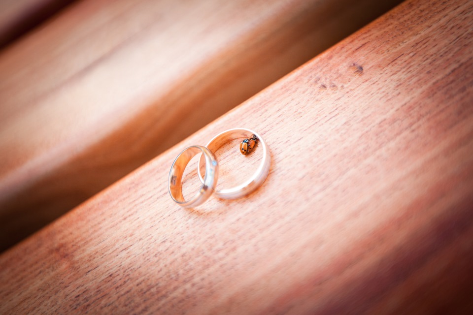 My Wedding! 2