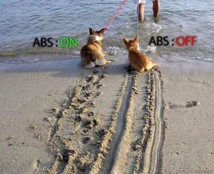 Зламався ABS! 1